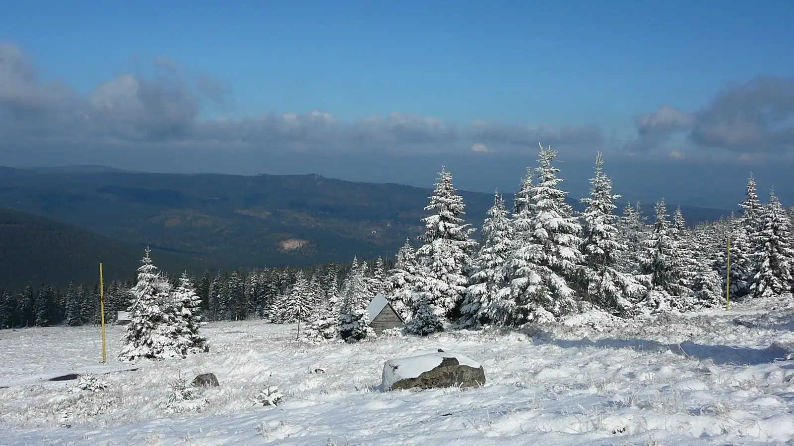 Ośnieżone młode świerki na grzbiecie Karkonoszy i rozległa panorama zalesionych gór pod błękitnym niebem