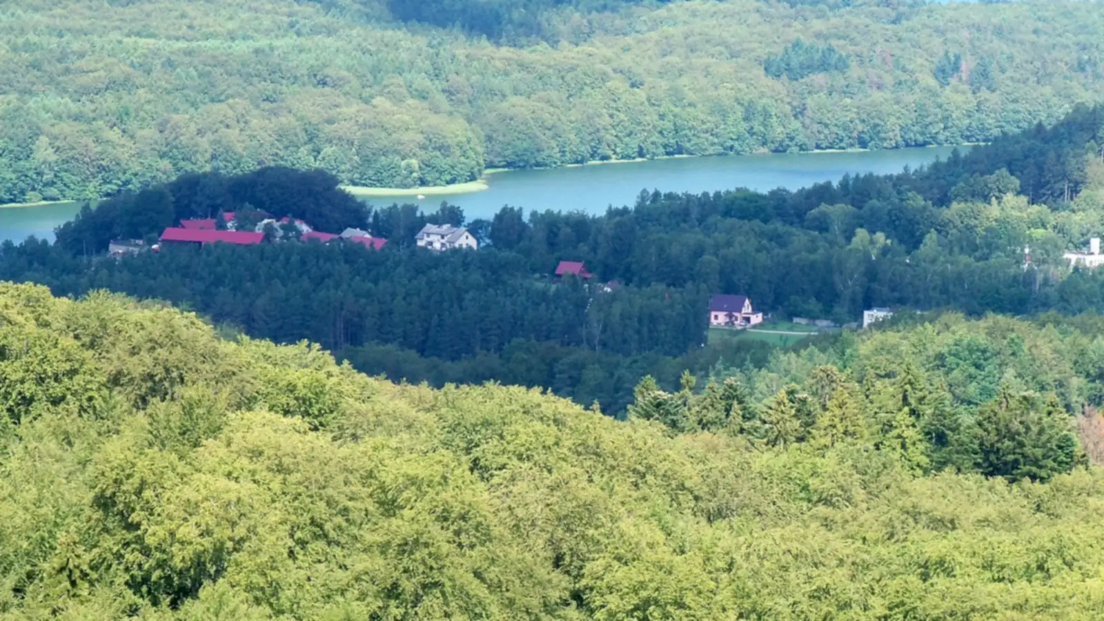 Zalesione wzgórza Szwajcarii Kaszubskiej i Jezioro Ostrzyckie widziane z Wieżycy latem